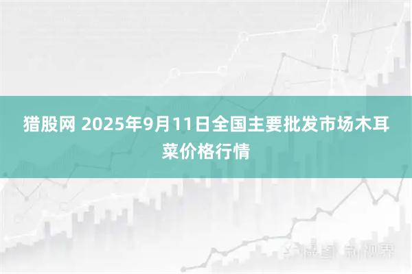 猎股网 2025年9月11日全国主要批发市场木耳菜价格行情