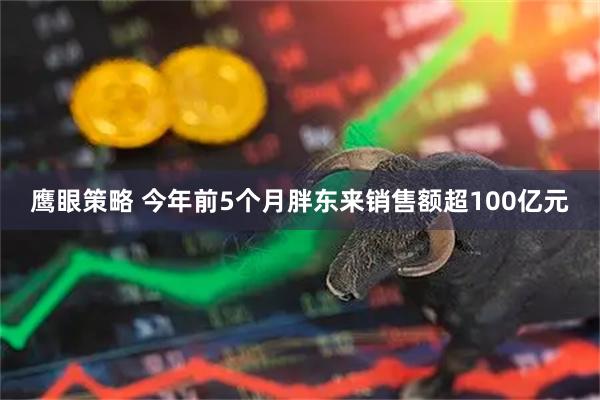 鹰眼策略 今年前5个月胖东来销售额超100亿元